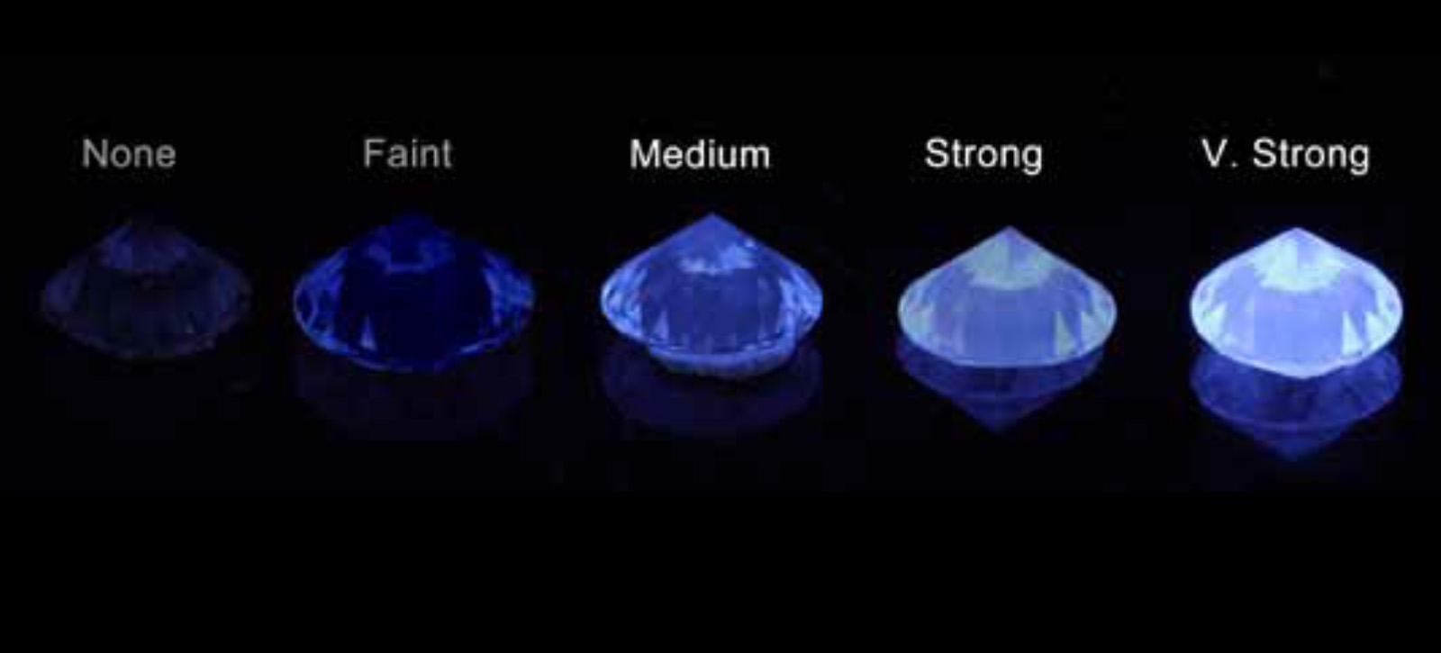 4c-fluorescenza